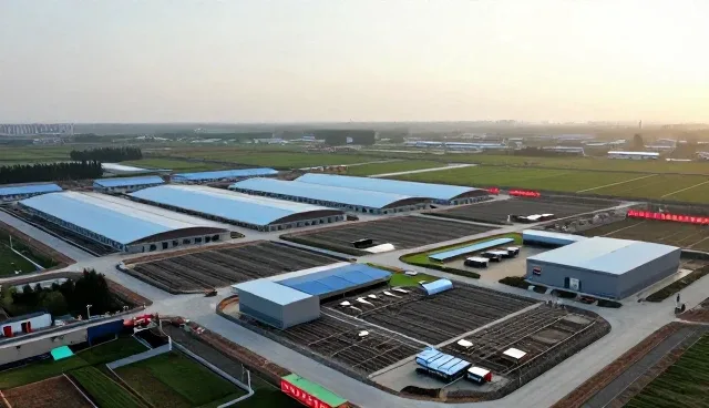 基础企业展示套餐性能表现与适用条件解析